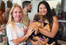 Ieda Chaves participa de feira de adoção que garante 97 lares em Porto Velho