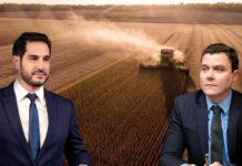 Colheita chegou, mas o caixa não fecha: até quando dá para segurar a dívida?