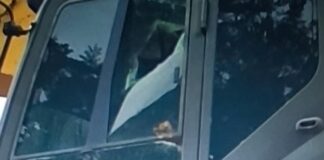 Escavadeira da Secretaria de Obras é alvo de vandalismo em travessão rural de Corumbiara