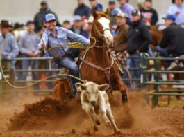 SEXTA: Festa do Laço Comprido reúne competidores e tradição cultural em Chupinguaia