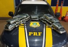 PRF intercepta ônibus interestadual e apreende 13 kg de ‘skunk’ na BR-364 em Vilhena