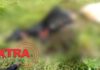 Pecuarista encontra restos de novilha abatida e faca tipo peixeira em propriedade rural de Pimenteiras