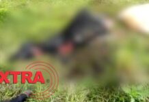 Pecuarista encontra restos de novilha abatida e faca tipo peixeira em propriedade rural de Pimenteiras