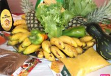 PAA começa entregas em Colorado impulsionando produção rural e segurança alimentar no Cone Sul