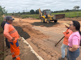 Rosangela Donadon conquista recuperação asfáltica para Novo Plano e acompanha obras