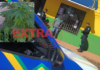 Durante cumprimento de mandado de prisão, PM localiza plantação de maconha no Parque Industrial Novo Tempo em Vilhena