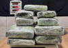 PF prende mulher com cerca de 13 kg de skunk no Aeroporto Internacional de Porto Velho
