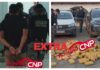 VÍDEO: vilhenense é preso com cerca de 130 quilos de drogas durante operação da Força Tática em Mato Grosso