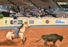 2ª Festa de Laço Comprido Rancho JR tem início nesta sexta-feira em Chupinguaia