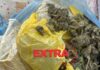 PM prende suspeito de tráfico e apreende quase 400 gramas de maconha em Vilhena