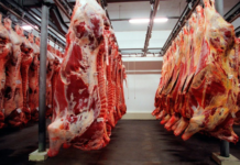 Exportação de carne bovina cresceu 15,5% no primeiro semestre