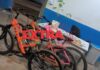 Mulher demonstra nervosismo ao ver viatura e acaba presa por cultivar maconha e guardar bicicletas furtadas em Vilhena