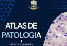 LIVRO: Atlas de Patologia transforma aulas práticas em produção científica no Curso de Medicina da Metropolitana