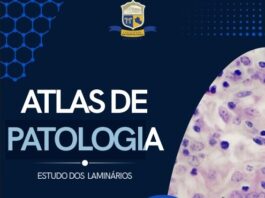 LIVRO: Atlas de Patologia transforma aulas práticas em produção científica no Curso de Medicina da Metropolitana