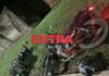 Motociclista embriagado transita pela contramão e provoca acidente em Vilhena