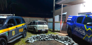 Ação conjunta entre PRF e PM resulta na apreensão de mais de 160 kg de skunk em Seringueiras