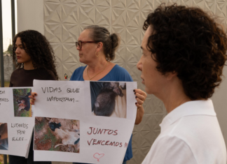 Vera Paixão defende planejamento para garantir funcionamento de serviços públicos