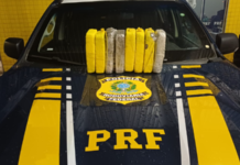 PRF apreende 8 kg de “supermaconha” em ônibus em Vilhena