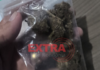 Homem é preso com munições e maconha em caminhonete estacionada em ponto de drogas em Vilhena
