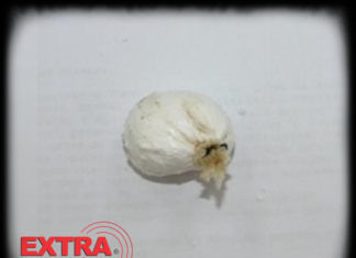 Porção de cocaína é encontrada escondida atrás de livros em biblioteca de faculdade em Vilhena