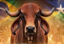 5ª Festa de Laço Comprido do Rancho Carrapicho terá “Duelo Rei do Gir”