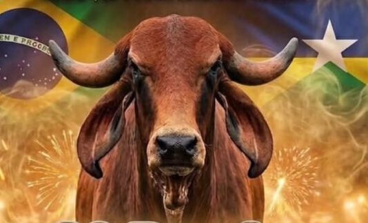 5ª Festa de Laço Comprido do Rancho Carrapicho terá “Duelo Rei do Gir”