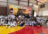 Pequeno Dragão conquista o título da 9ª Copa de Karatê Interestilos