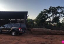 MADEIRA: operação da PF mobiliza 76 agentes e mira casas e empresas em Vilhena e Espigão do Oeste