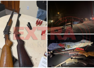 Polícia Ambiental apreende armas de fogo e caminhão com madeira irregular durante operação em Vilhena