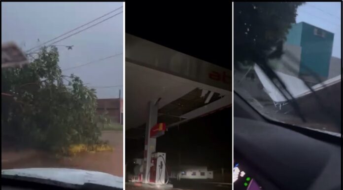 VÍDEOS: temporal provoca queda de árvores, danos e apagão em Pimenteiras