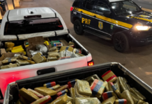 PRF apreende mais de 600 kg de drogas escondidos em caminhão na BR-364 em RO