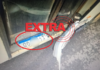 Carro avança preferencial, colide com ônibus e motorista foge do local em Vilhena; placa do veículo fugitivo foi deixada para trás e possibilitou a identificação